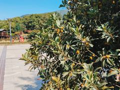 -宝岩生态观光园