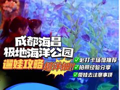-海合安成都极地海洋公园