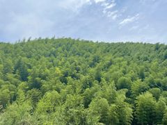 -将军关探险漂流