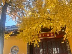 -上海青龙寺