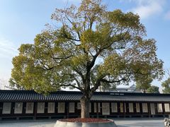 -龙华寺