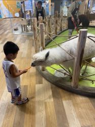 -七巧国萌宠乐园(龙湖天街店)
