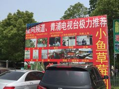 -小鱼草莓采摘园农家乐·小鱼餐厅