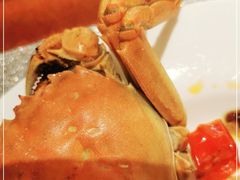 -赛瑞喜来登大酒店-盛宴自助餐厅