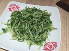 凉拌豆苗-老班长手工灌汤包老店(东山店)