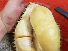 -都念榴莲·城市榴莲