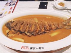 -阿五黄河大鲤鱼(英协路店)