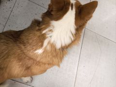 -小梁哥云吞面(黄贝岭店)