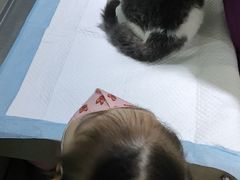 -暖阳宠物医院·犬猫康复中心·骨科