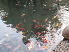 -和县香泉温泉度假村