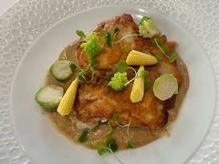 -蝶舍·MAISON PAPILLON