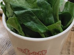鸡毛菜-四喜小胖·北京涮肉(五道营店)