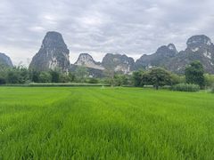 -明仕田园