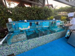 -渔家火锅·海鲜自助餐·演艺(亚龙湾天域酒店)