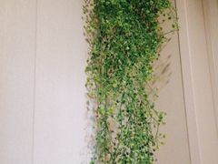 -至尊名仕·中泰按摩·养生SPA会所