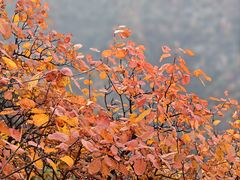 -秦岭终南山世界地质公园翠华山景区
