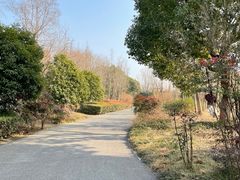 -梁鸿国家湿地公园