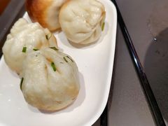 鲜肉生煎-大壶春生煎(四川中路店)