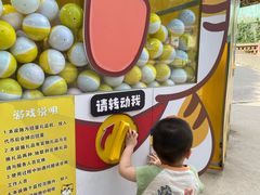 -保定市动物园