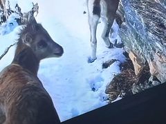 -康熙养生SPA·轻奢足道(江宁万达店)