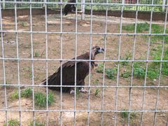 -秦皇岛野生动物园