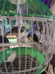 -酷嗒动物文化乐园(cutezoo西溪乐天城店)