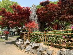 -南京古林公园