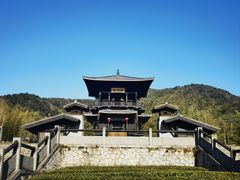 -大唐贡茶院