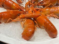 -红盔甲·小龙虾(人民广场店)