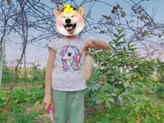 -任达丞国农庄(任达山庄店)