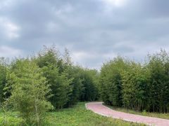 -嘉北郊野公园