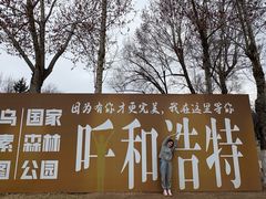 -乌素图国家森林公园