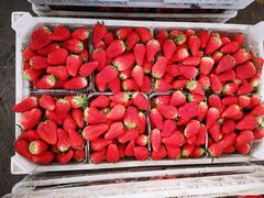 -重振华中蔬菜批发市场(重庆中路店)