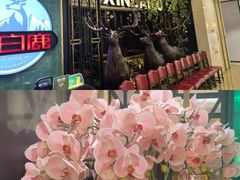 -新白鹿餐厅(爱琴海购物中心店)