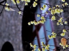 -上海孙中山故居纪念馆