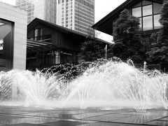 -ZARA(成都远洋太古里店)