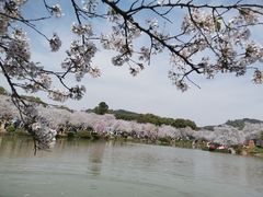 -东湖磨山景区