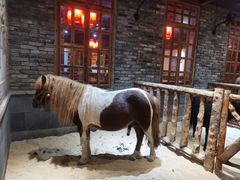 -巴倒烫陆派火锅山庄(南山总店)