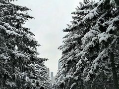 -东北大学(南湖校区)