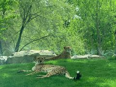 -北京野生动物园