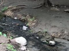 -白水寺森林公园