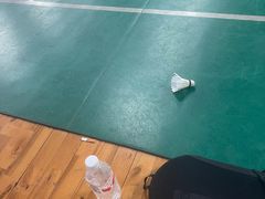 -东丽温泉羽毛球