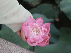 -广州莲花山旅游区