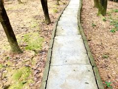 -火炉山森林公园