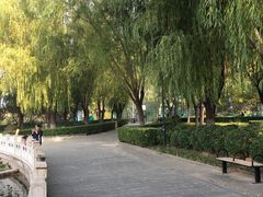 -莲花池公园
