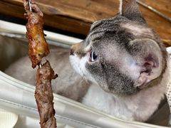 羊肉串-新疆伊宁远征餐厅