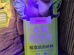 -重庆欢乐海底世界