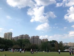 -青枫公园