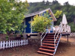 -紫海香堤香草艺术庄园