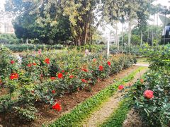 -人民公园(罗湖区)